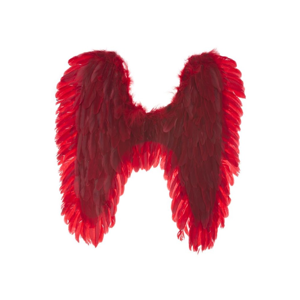Wings, feather, red, 65x70cm