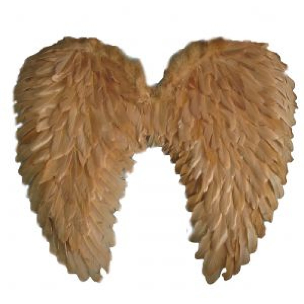 Angel wings, feather, beige