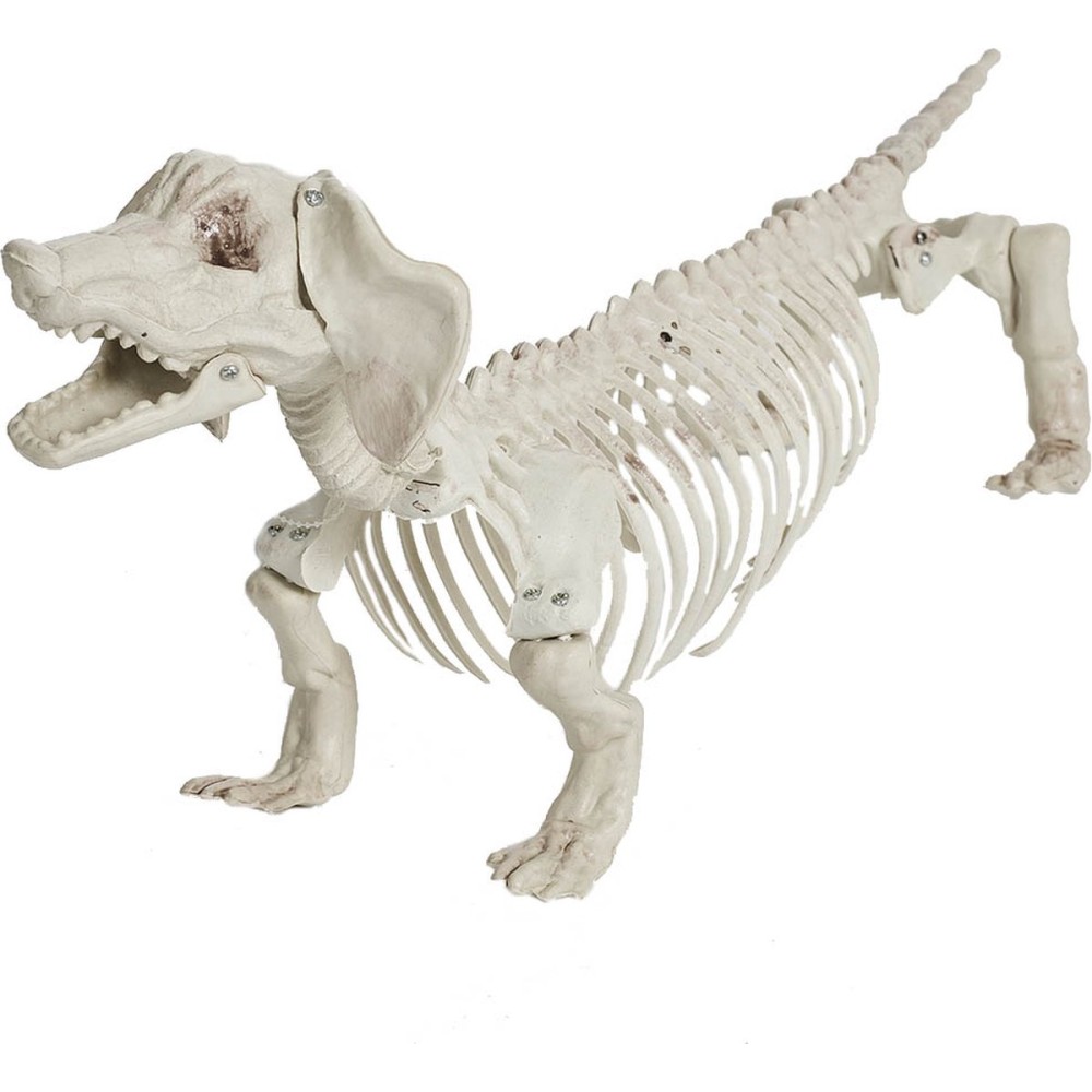 Skeleton dog, 55cm
