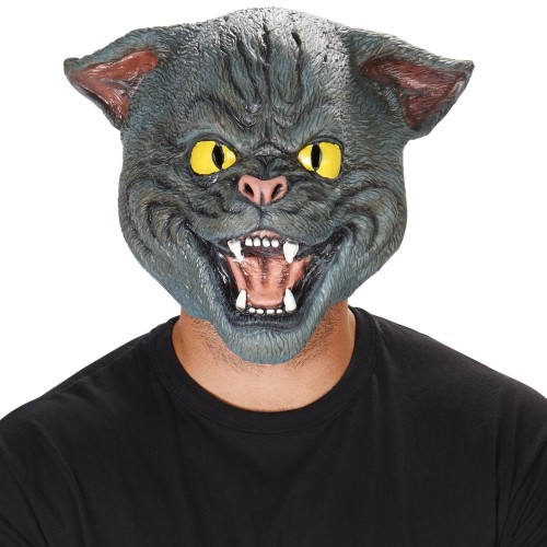 Cat, mask