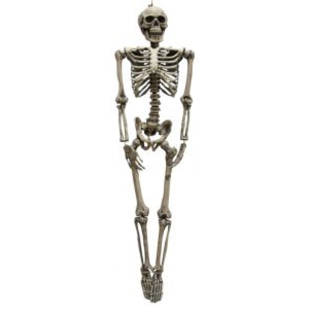 Deco skeleton, 160cm