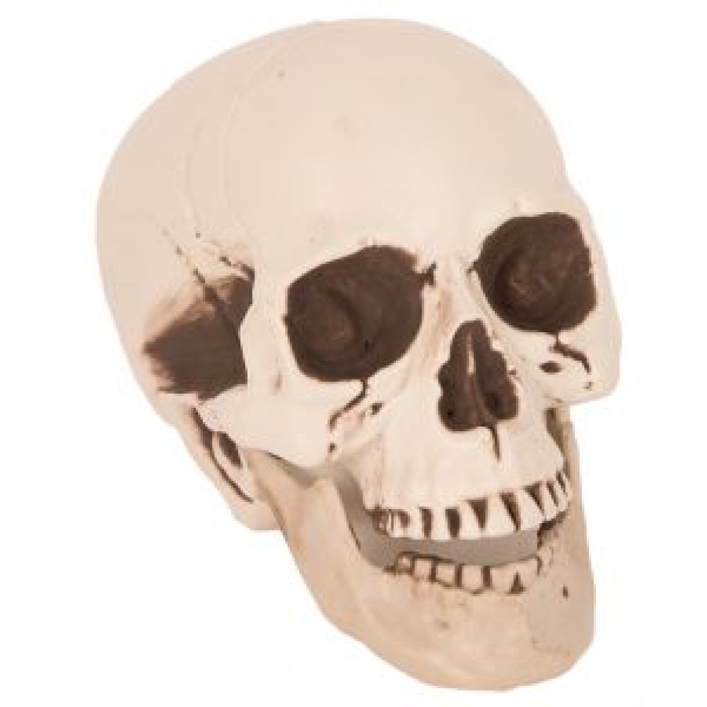 Deco Skull, 21cm