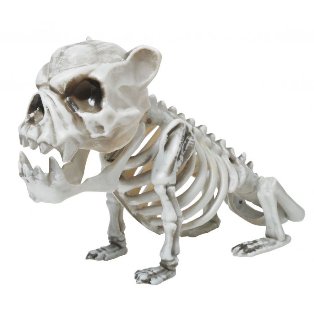 Skeleton dog, 28cm
