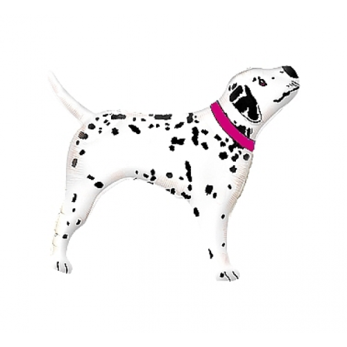 Fooliumist õhupall «Dalmaatsia koer», roosa rihmaga