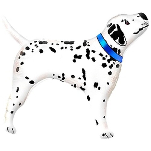 Fooliumist õhupall «Dalmaatsia koer», sinise rihmaga