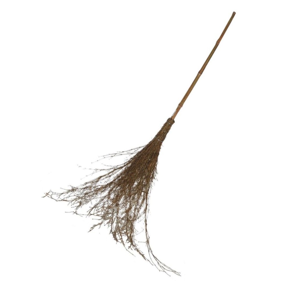 Broom-Witch