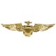 Aviator brooche