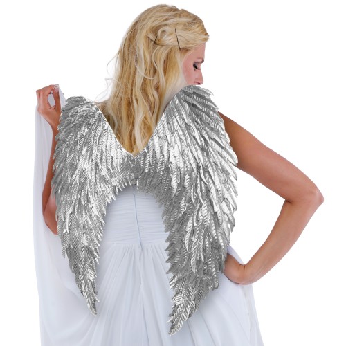  Silver wings