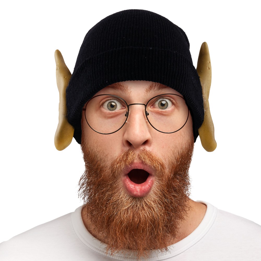 Elf hat with ears