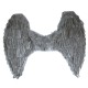 Wings, grey