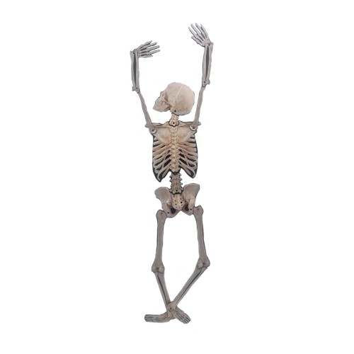 Skelett, rippuv dekoratsioon, 150cm