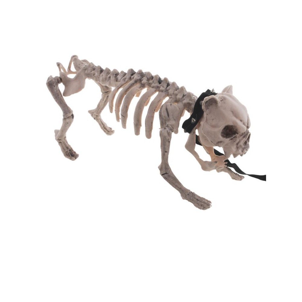 Skeleton dog