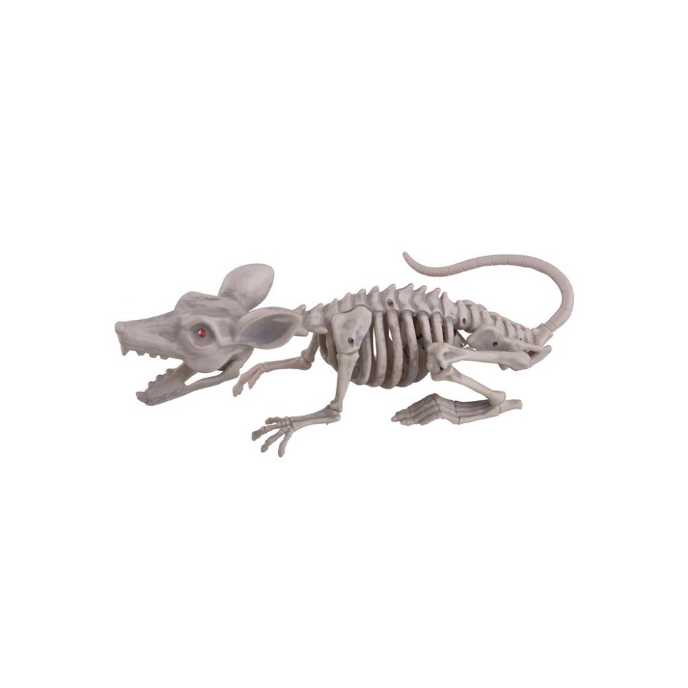 Skeleton of mouse with light