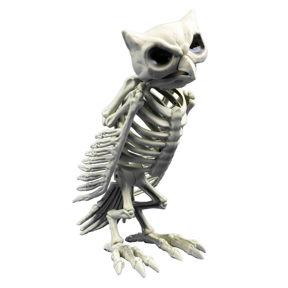 Skeleton owl