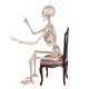 Deco skeleton, 150cm