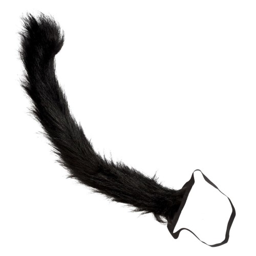Cat's tail